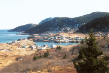 559: Red Island. "View from up on the school hill". (2002) [courtesy of Madonna (Bishop)  Mulrooney]"